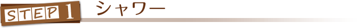 シャワー